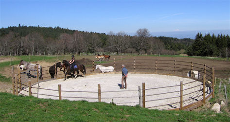 Rond de longe