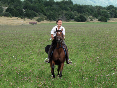 Randonnée à cheval Randonnée à cheval