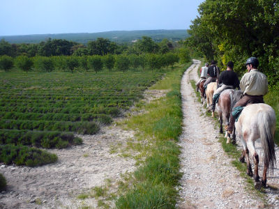 Randonnée à cheval Randonnée à cheval
